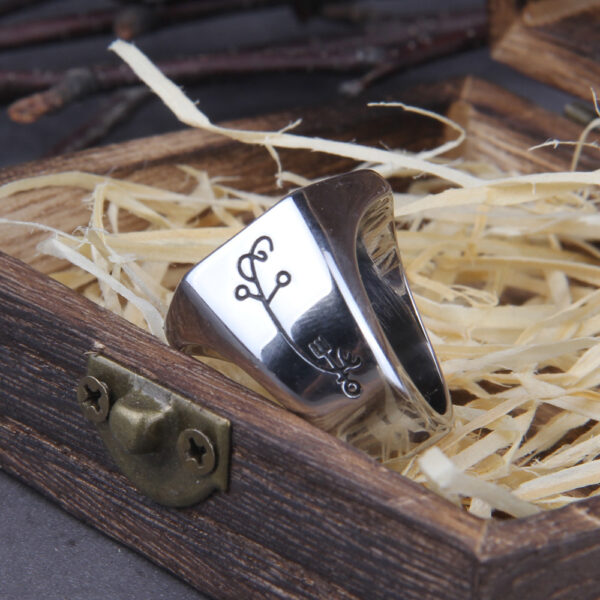 Loli Nordic Compass Ring for Men – Viking Vegvisir Ring for Protection, Guidance & Spiritual Awakening - Image 7