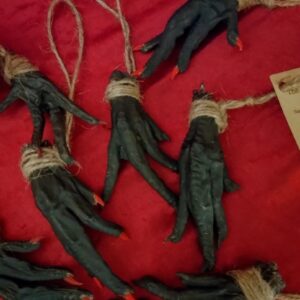 Hoodoo Chicken Foot for Protection – Witchcraft Talisman to Reverse Curses & Block Enemies