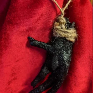Hoodoo Chicken Foot for Protection – Witchcraft Talisman to Reverse Curses & Block Enemies